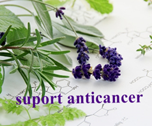 suport natural anticancer